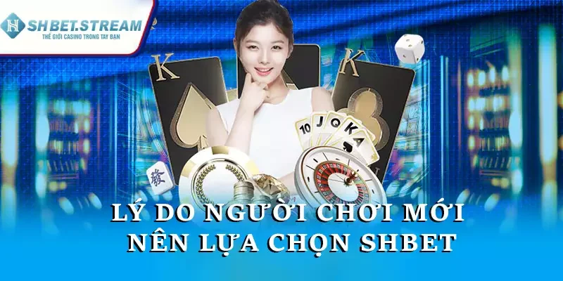 Lý do người chơi mới nên lựa chọn chúng tôi